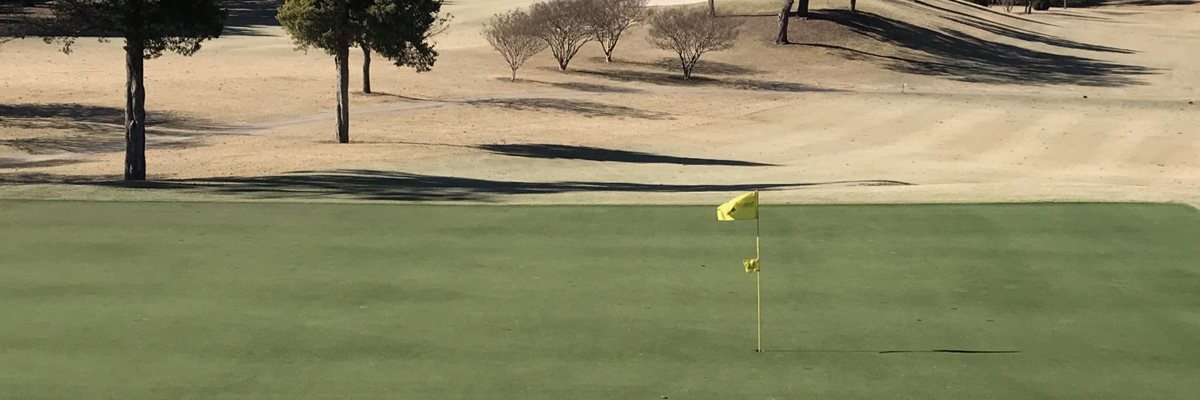 dormant grass on a golf course with PAR SG